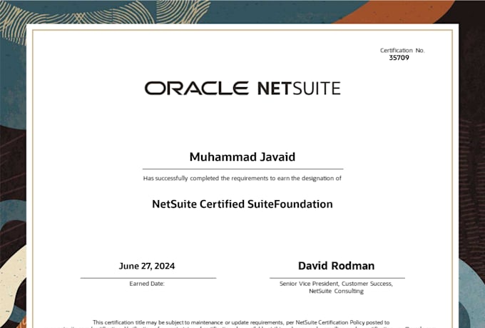 provide netsuite accounting and erp consulting